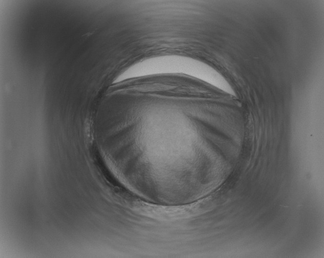 X0000075360031200610061758