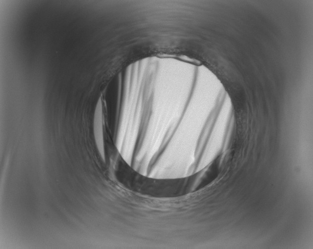 X0000075360033200610061758