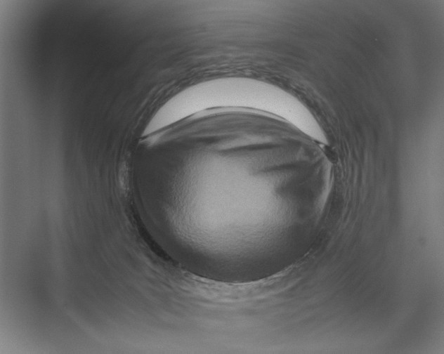 X0000075360035200610061758