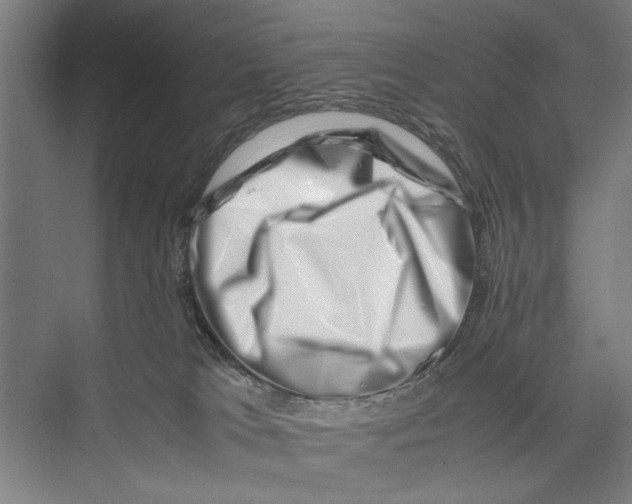 X0000075360037200610061758