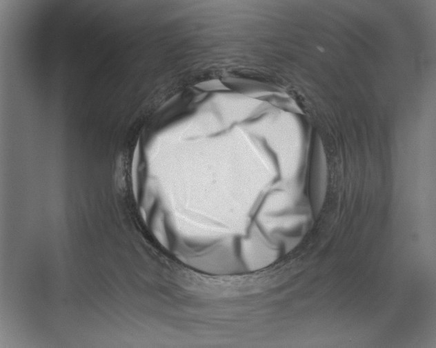 X0000075360038200610061758