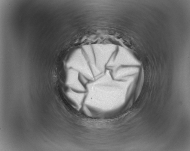 X0000075360040200610061758