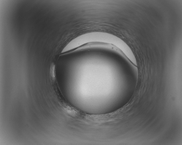 X0000075360041200610061758