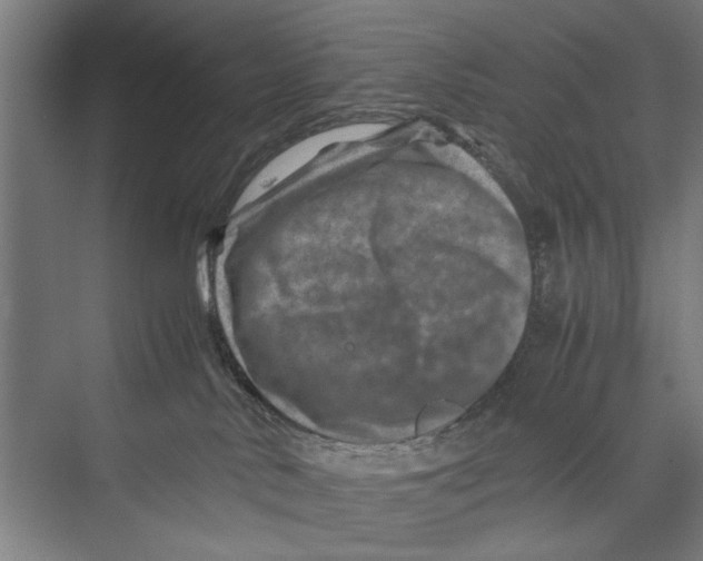 X0000075360042200610061758