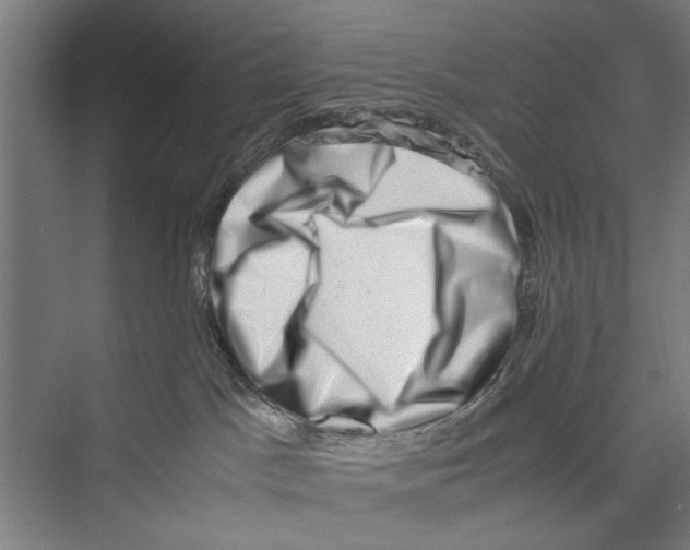 X0000075360045200610061758