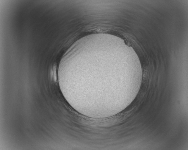 X0000075360046200610061758