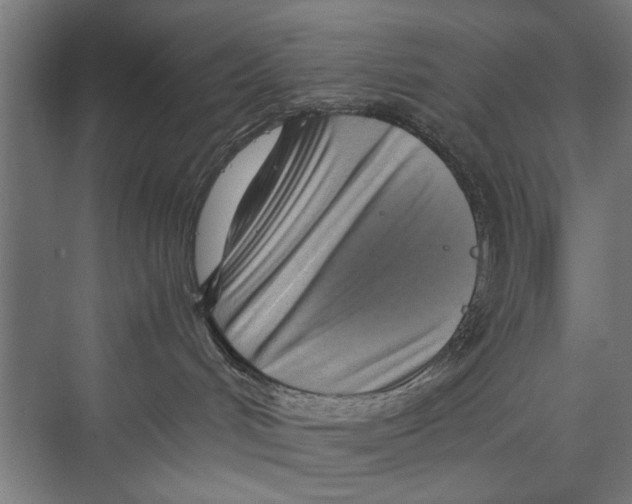 X0000075360048200610061758