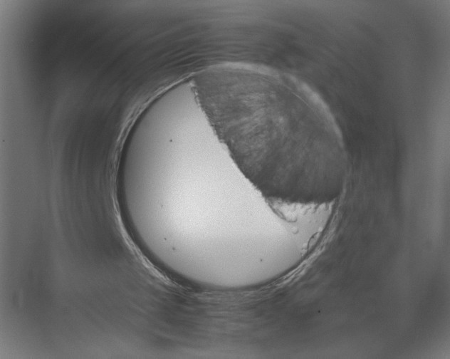 X0000075360049200610061757