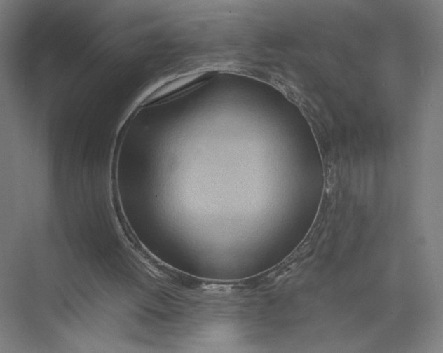 X0000075360052200610061757