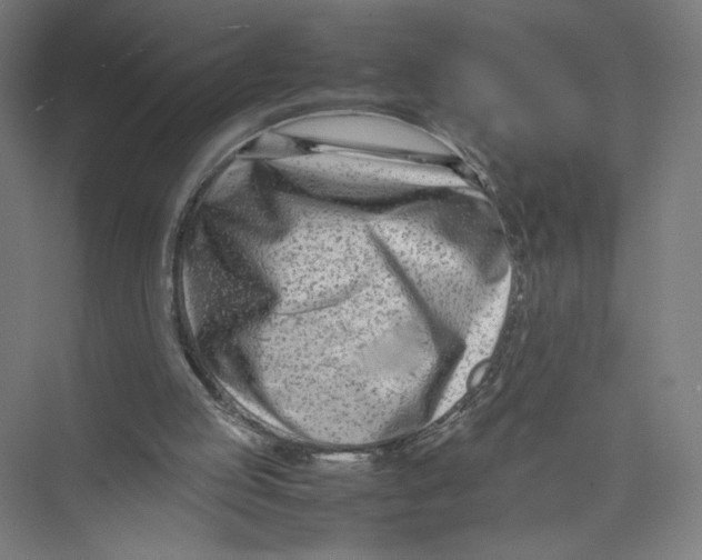 X0000075360053200610061757