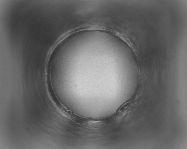 X0000075360055200610061757