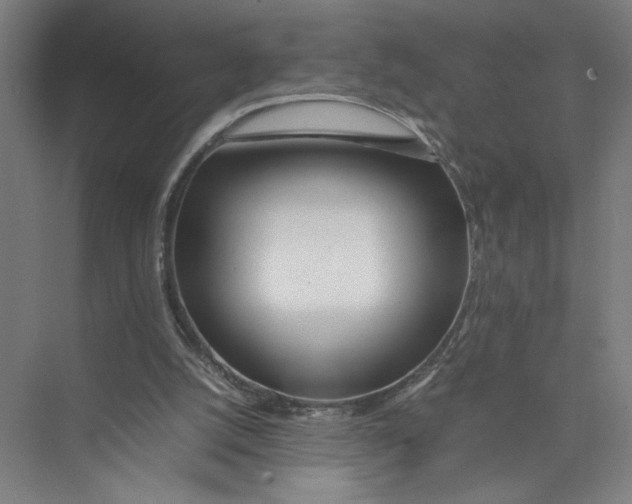 X0000075360056200610061757