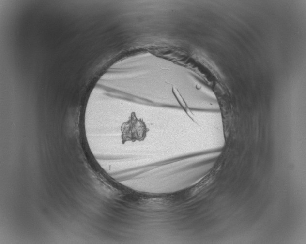 X0000075360058200610061757