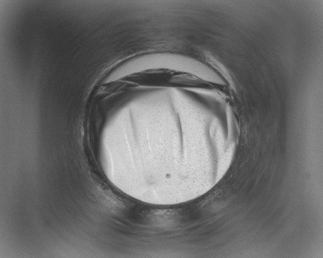 X0000075360059200610061757