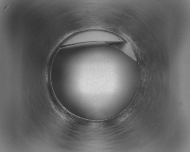 X0000075360060200610061757