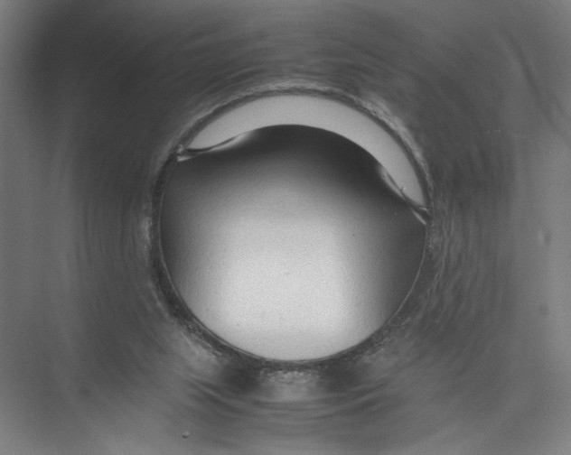 X0000075360063200610061757