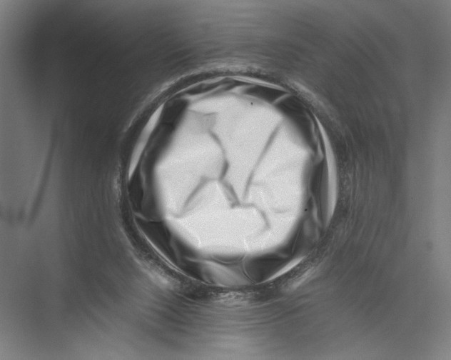 X0000075360064200610061757