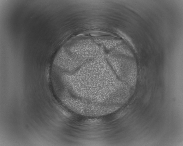 X0000075360065200610061757