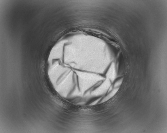 X0000075360066200610061757