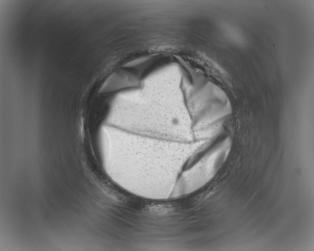 X0000075360067200610061757