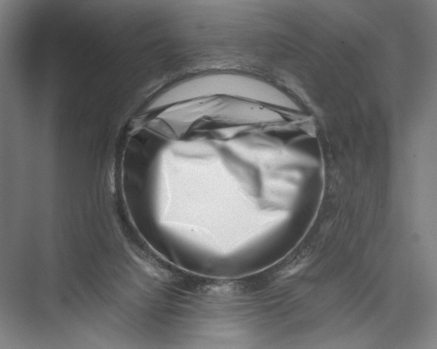 X0000075360068200610061757