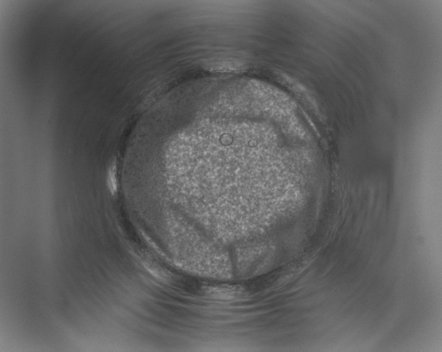 X0000075360069200610061757