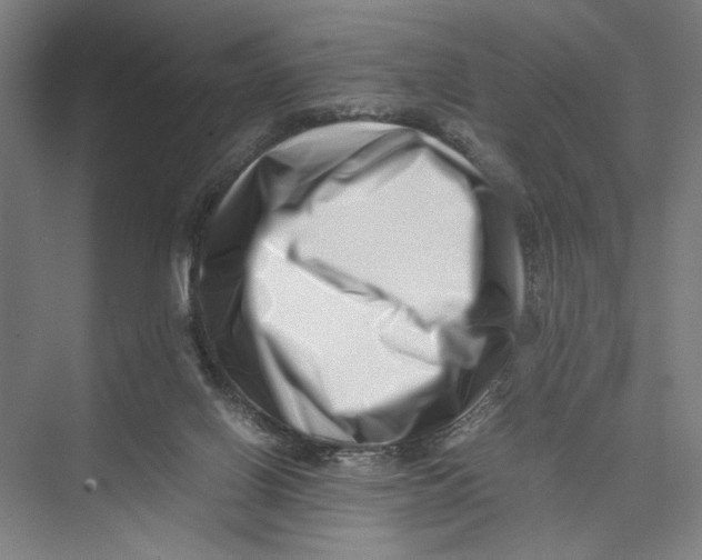 X0000075360070200610061757