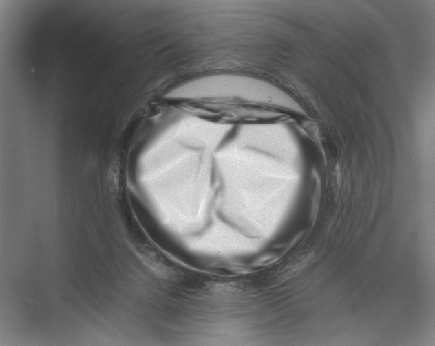 X0000075360072200610061757