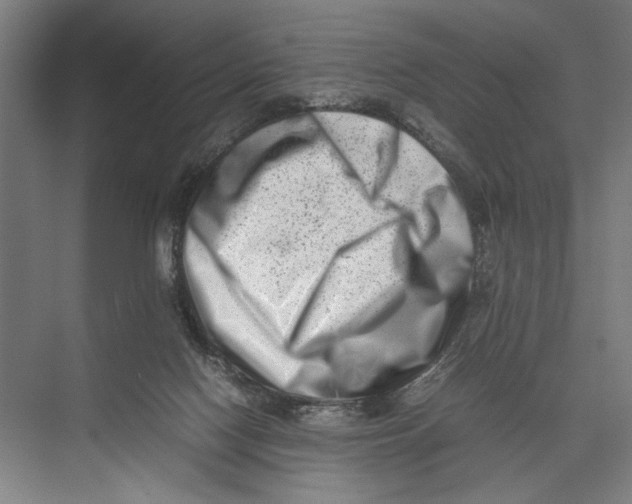 X0000075360074200610061758