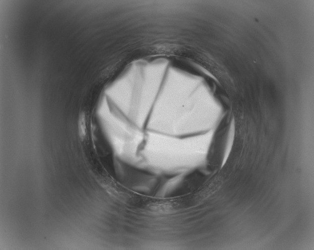 X0000075360075200610061758