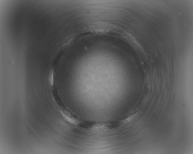 X0000075360076200610061758