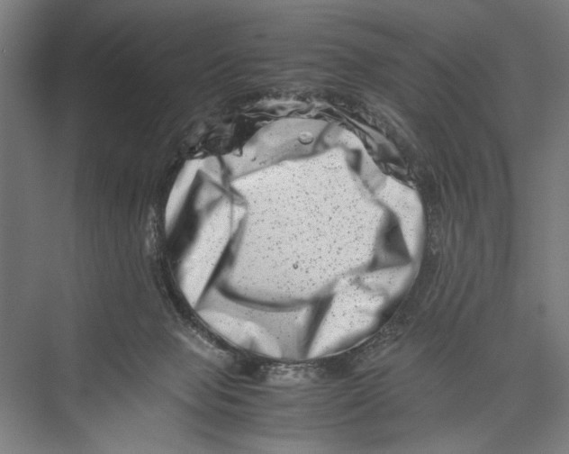 X0000075360077200610061758