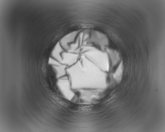 X0000075360078200610061758