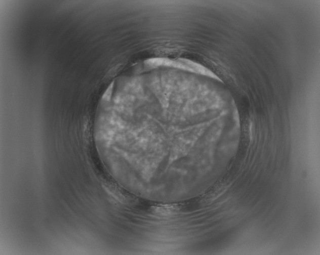 X0000075360079200610061758