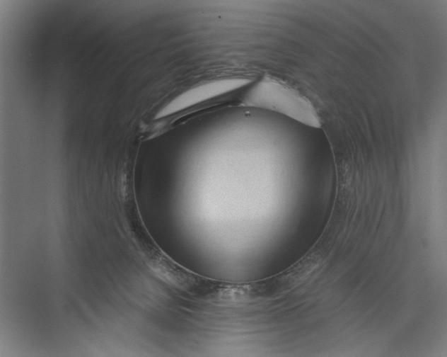 X0000075360080200610061758