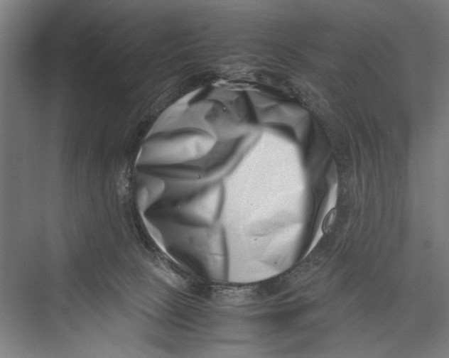 X0000075360081200610061758