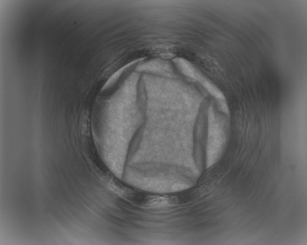 X0000075360083200610061758