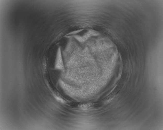 X0000075360084200610061758