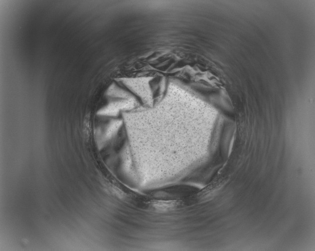 X0000075360085200610061758