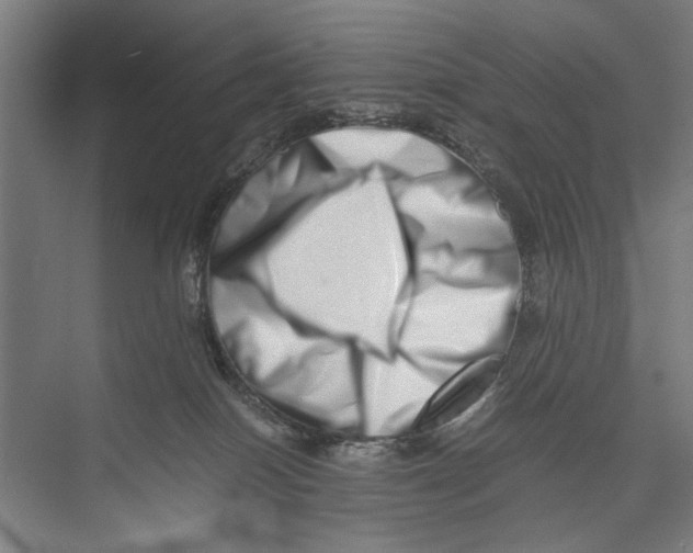 X0000075360086200610061758