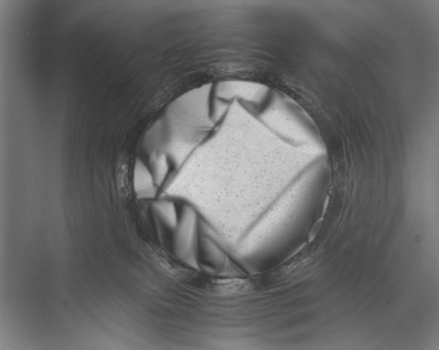 X0000075360087200610061758