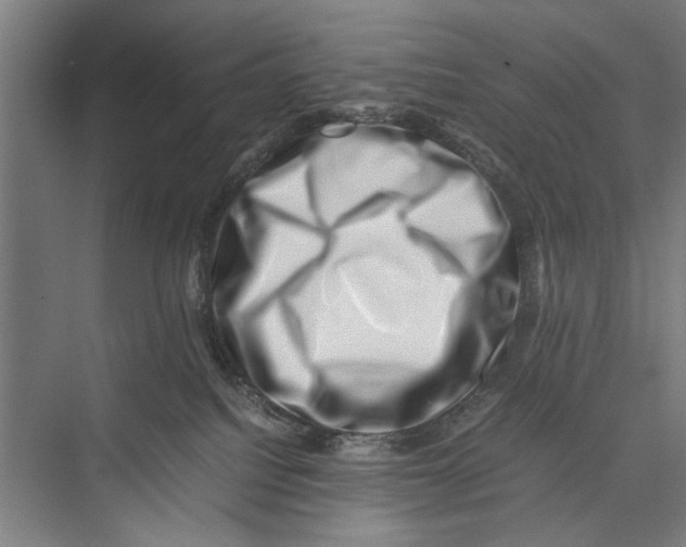 X0000075360088200610061758