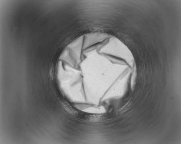 X0000075360090200610061758