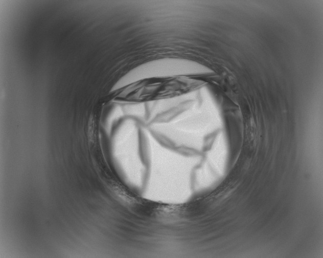 X0000075360092200610061758