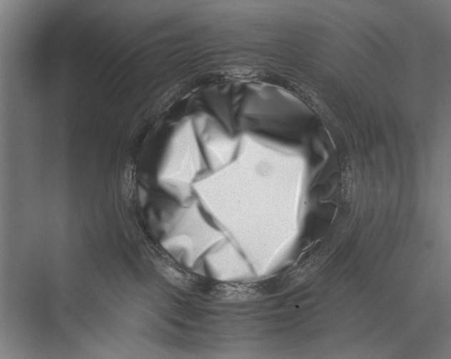 X0000075360093200610061758