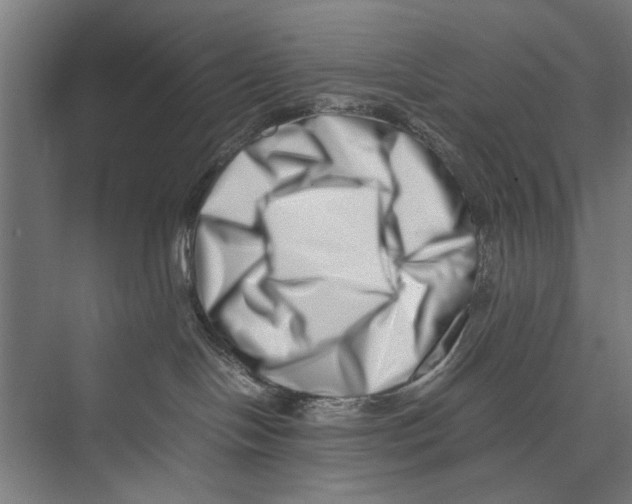 X0000075360094200610061758