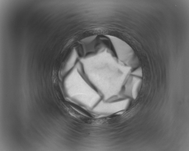 X0000075360096200610061758