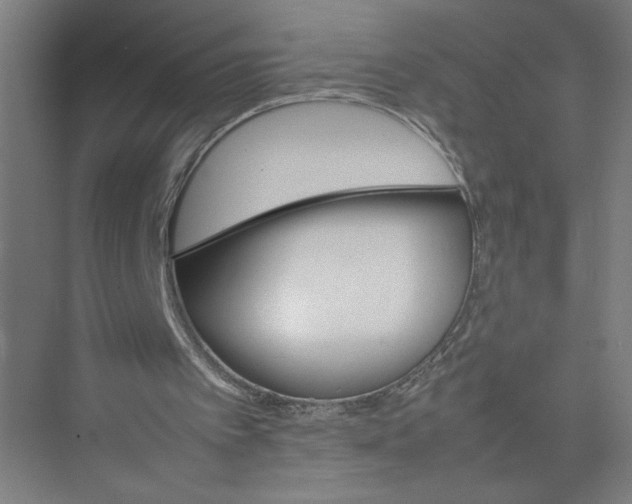 X0000075360097200610061757