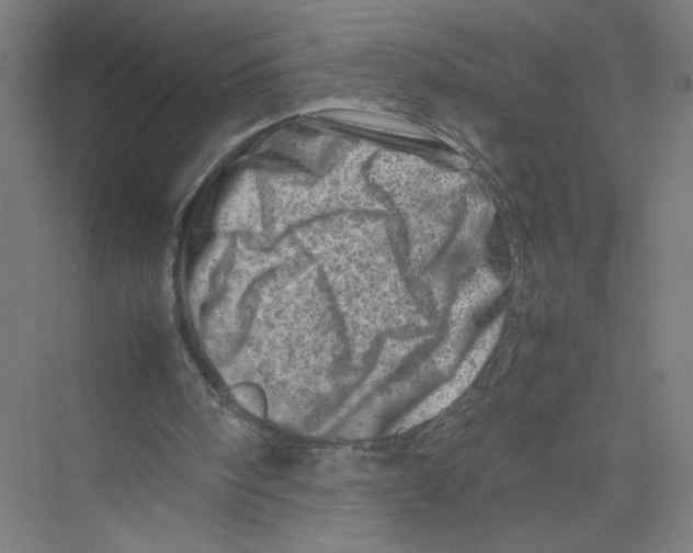 X0000075360098200610061757