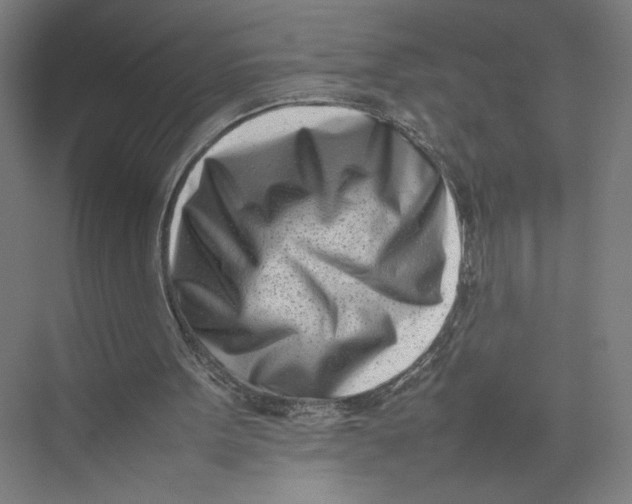 X0000075360099200610061757